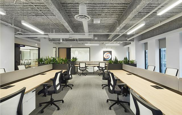 广州小型办公室装修绿化的应用